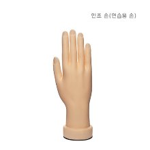 네일아트 연습용/인조손,손